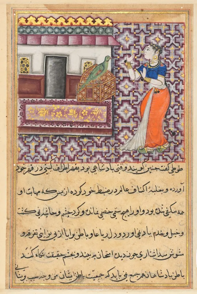 The parrot addresses Khujasta at the beginning of the fiftieth night, from a Tuti-nama (Tales of a Parrot): Fiftieth Night