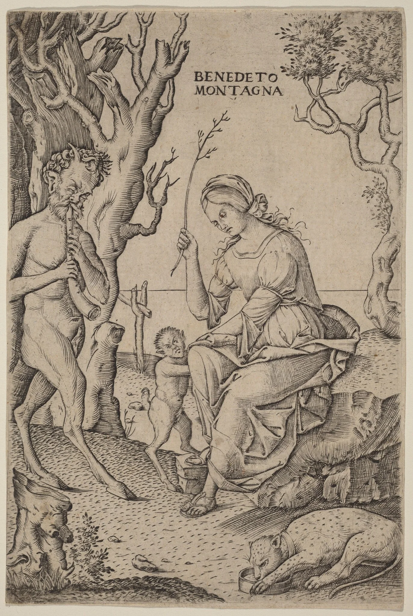 Satyr Family