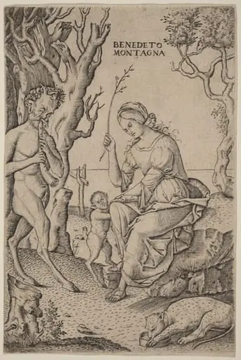 Satyr Family