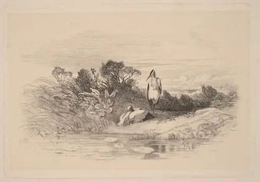 Herons