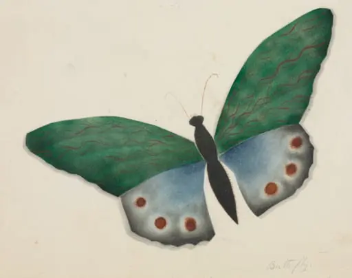 Butterfly