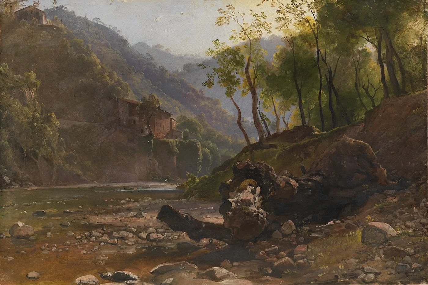 View of a Wooded River