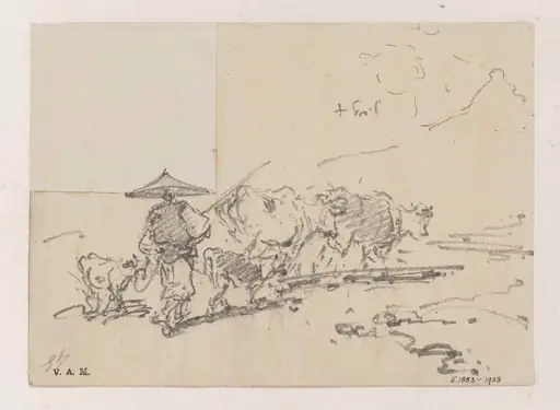 A Chinese cowherd driving cattle