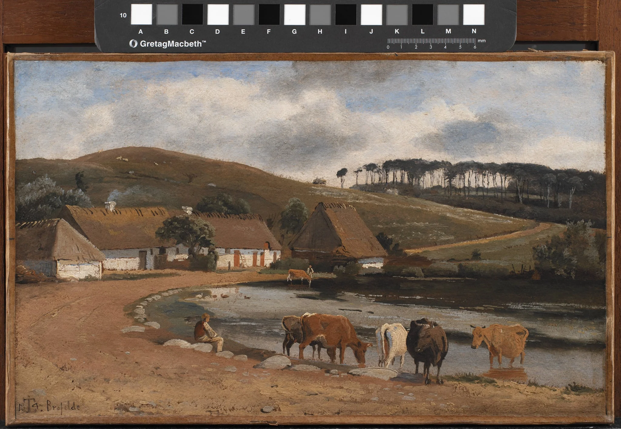 Cows being Watered at a Village Pond. Brofelde, Zealand, by Unknown, 1844
