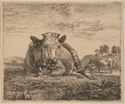 Recumbent Cow