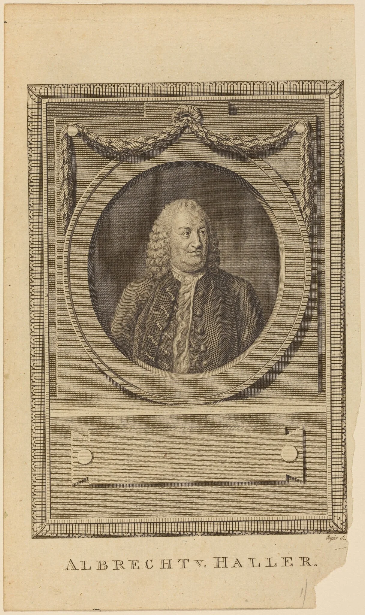 Albrecht V. Haller