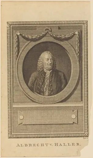Albrecht V. Haller