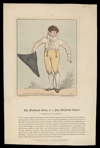 H Beard Print Collection