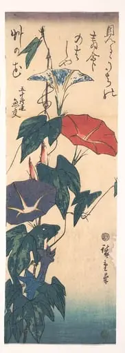 歌川広重画  朝顔|Morning Glories
