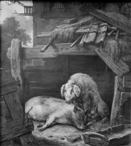 Two Pigs in a Sty