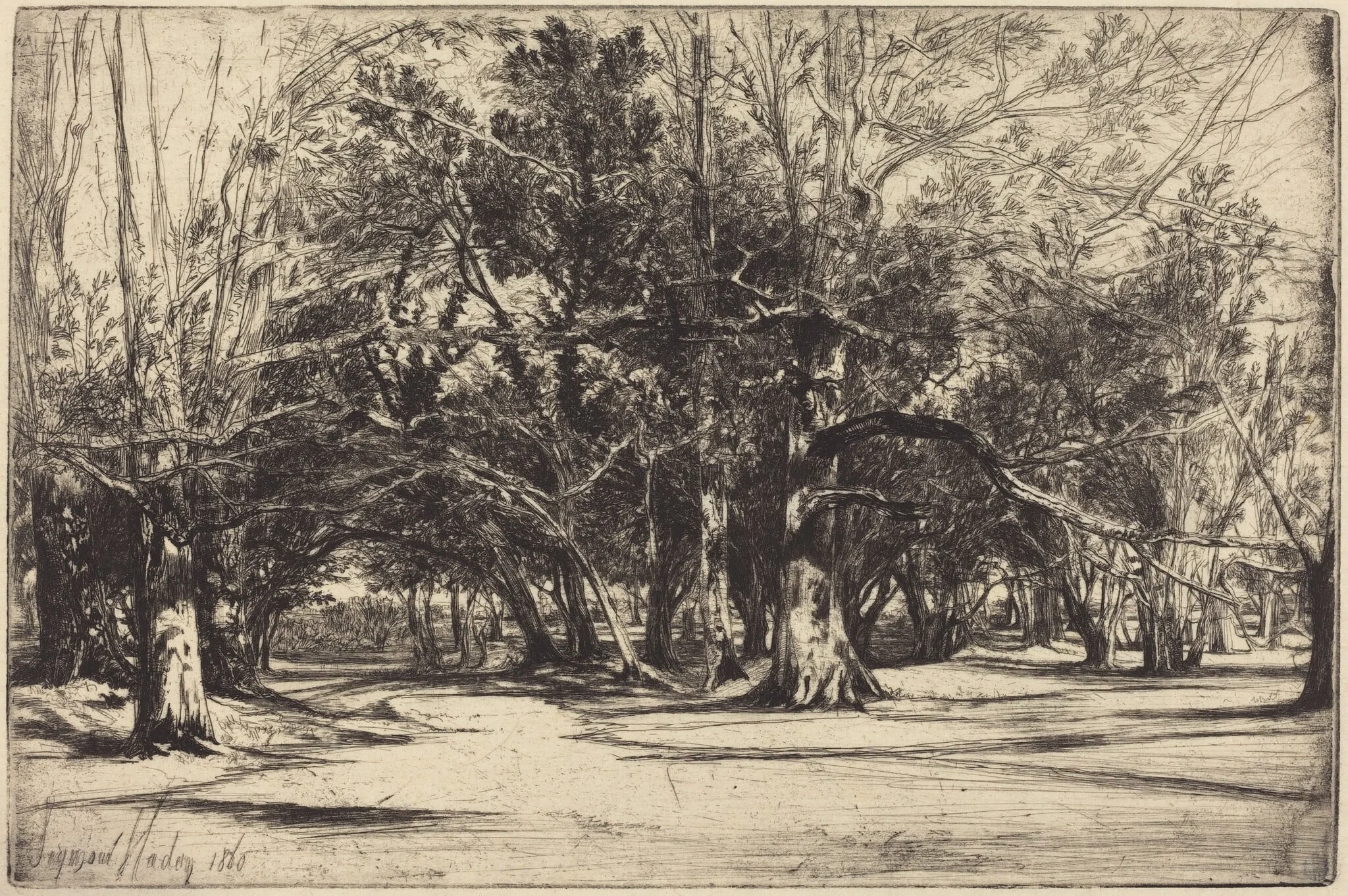 A By-Road in Tipperary, by Francis Seymour Haden, ink, 1860