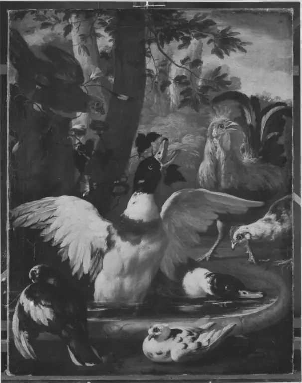 Q30056527