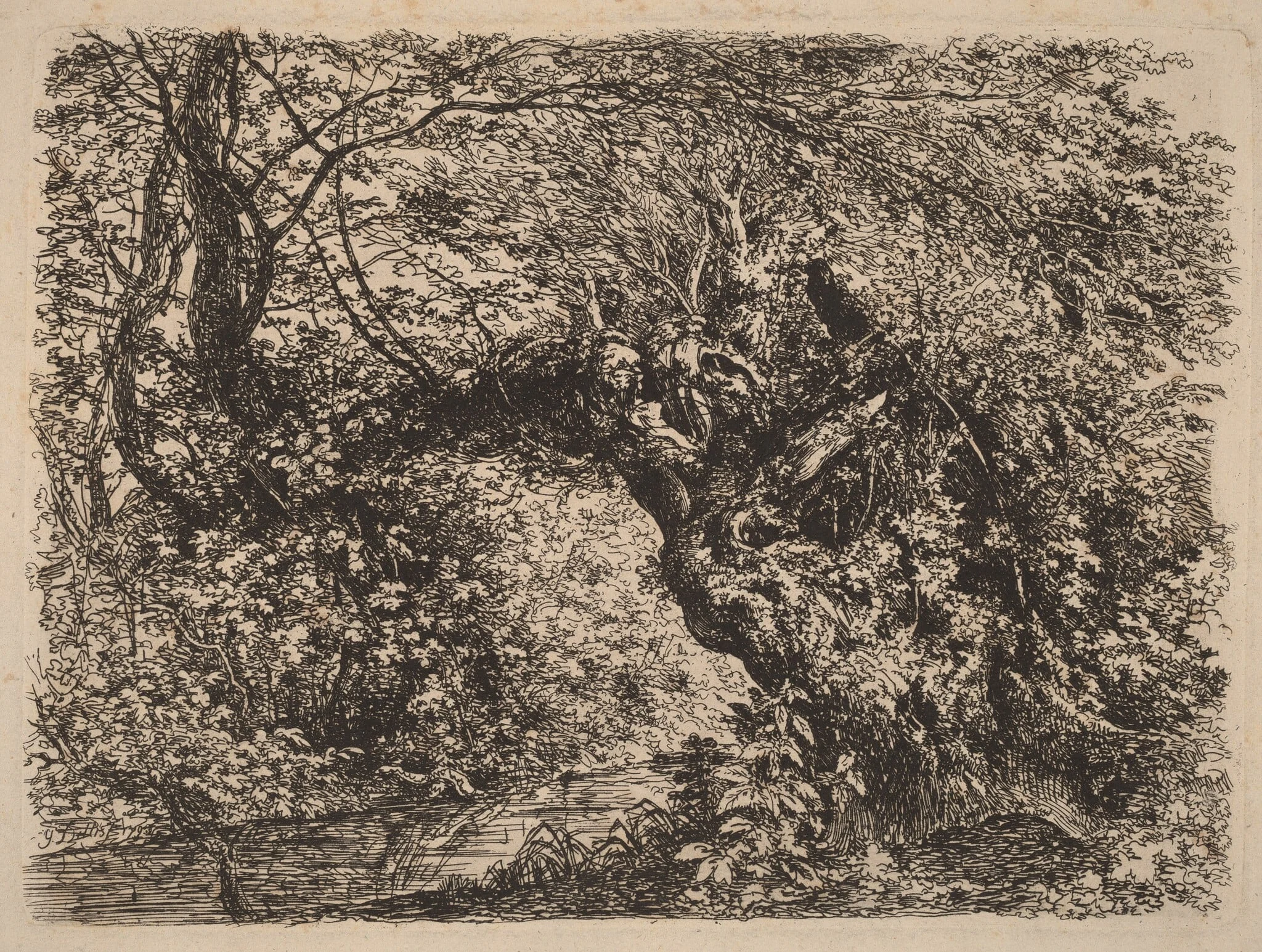 An Old Willow by a Stream, by Johann Georg von Dillis, ink, 1793