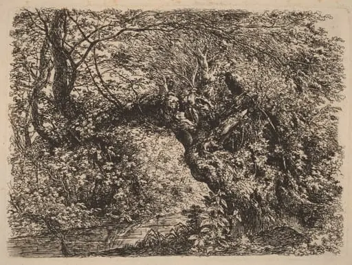An Old Willow by a Stream