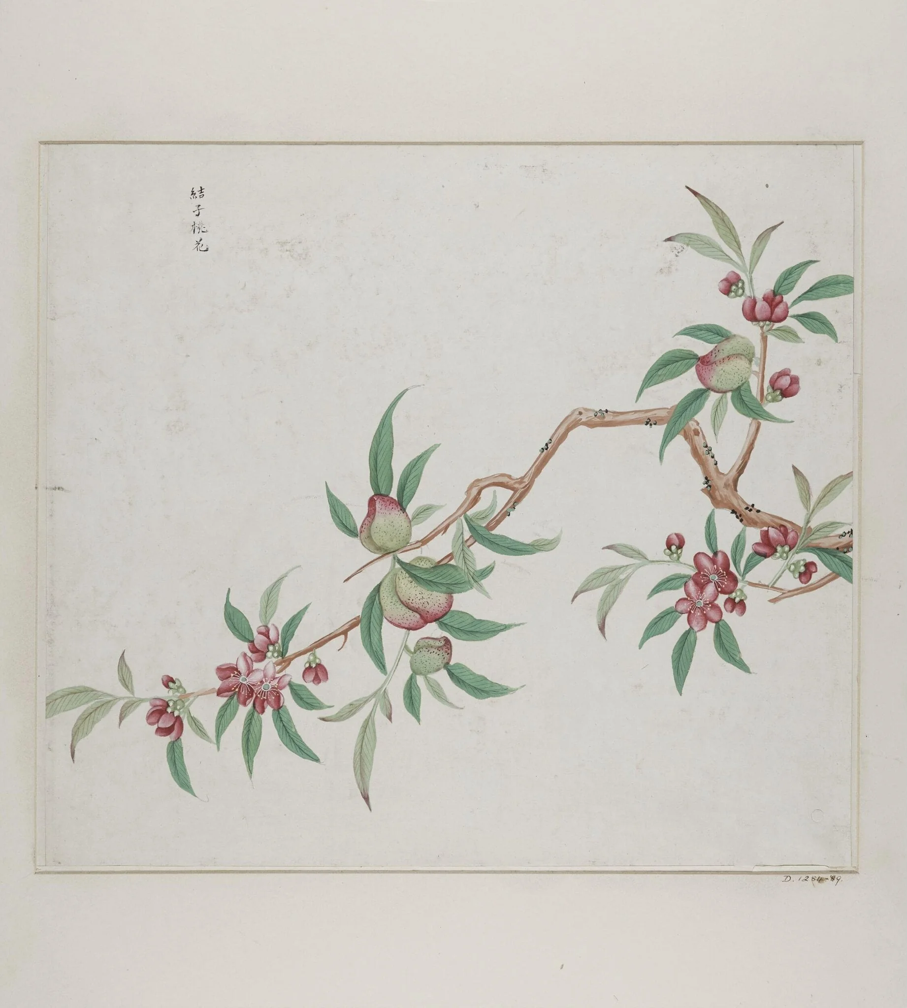 Jie zi tao hua, by Unknown, paint, 1780
