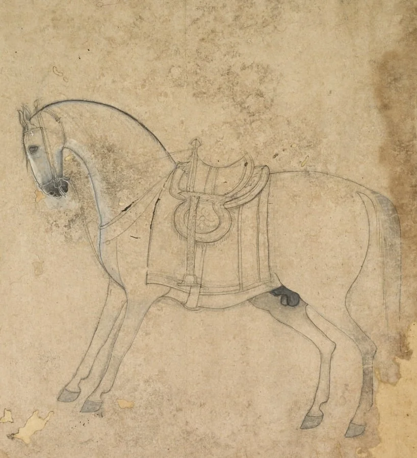 A saddled horse, by Unknown, 1750