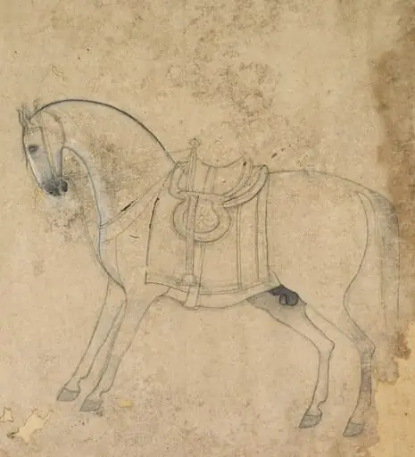 A saddled horse