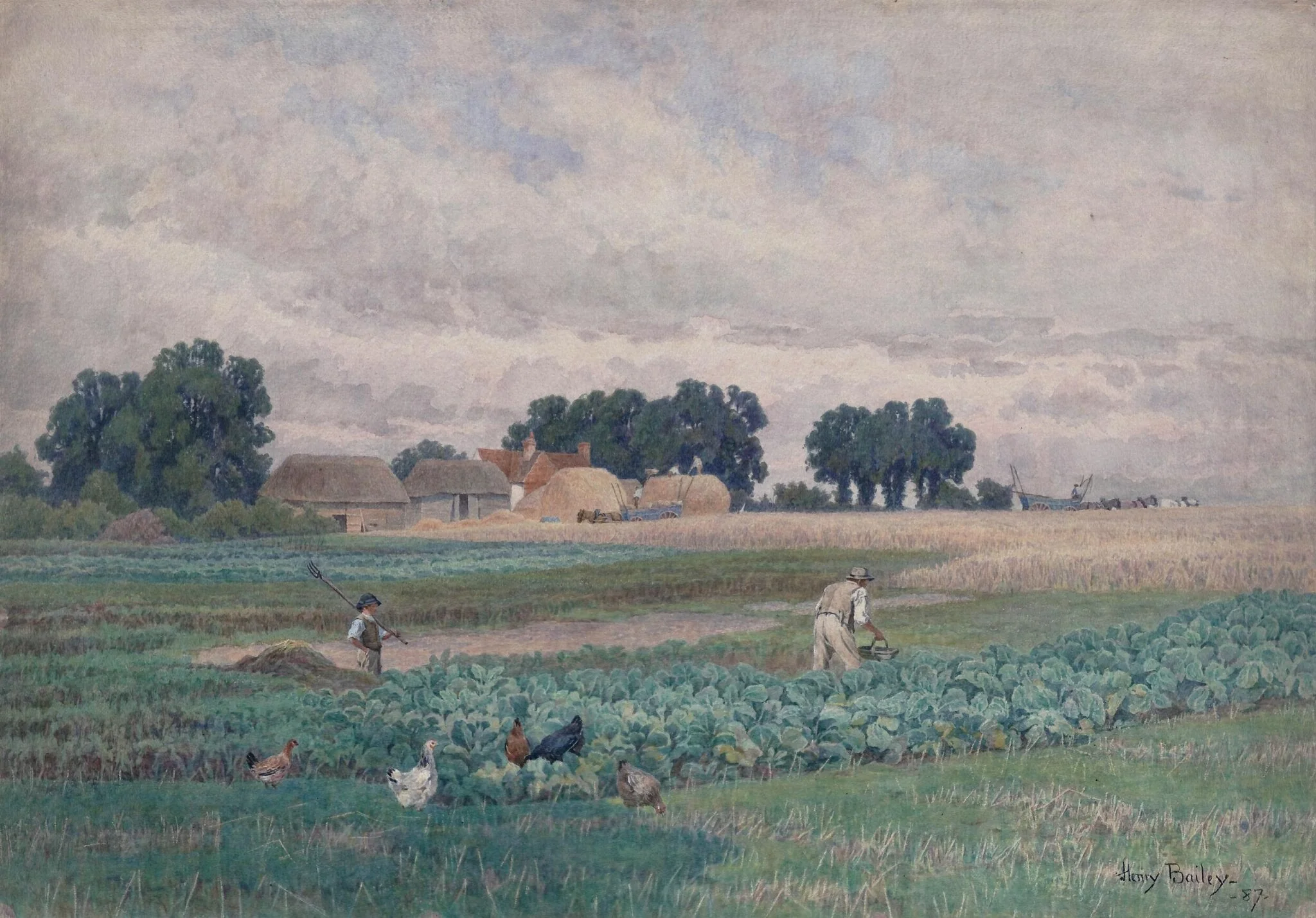 Cabbage field and farm, by Henry Bailey, watercolor, 1887