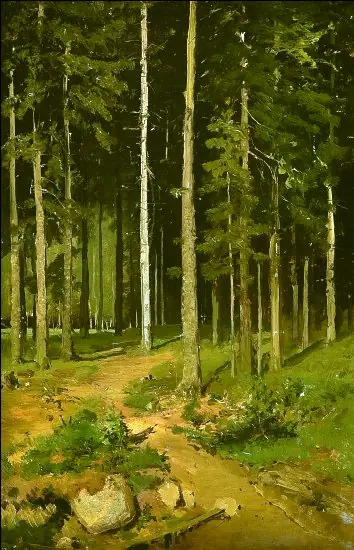 Road in the Forest