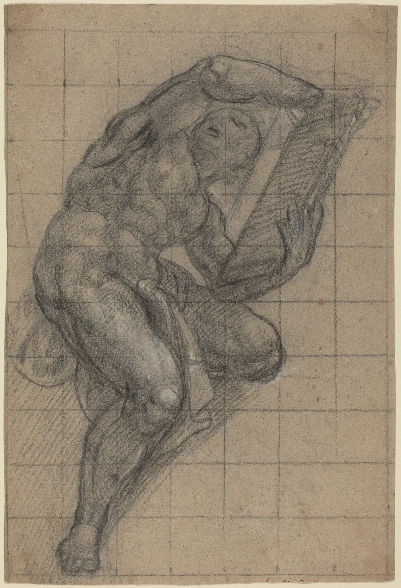 Study for a Prophet, by Lattanzio Gambara, chalk, 1570