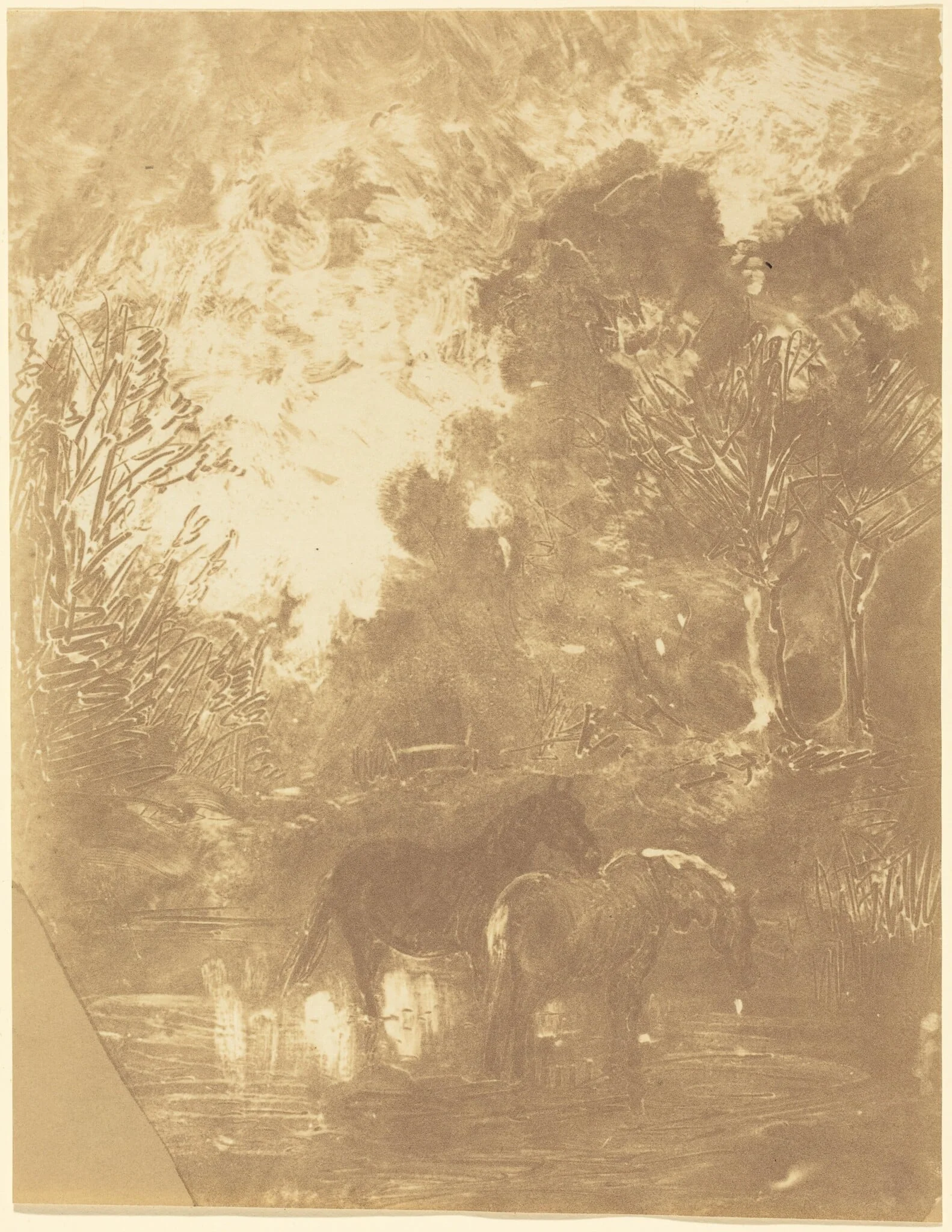 Two Horses at a Watering Place (Les Deux chevaux a l'abreuvoir), by Charles François Daubigny, 1860