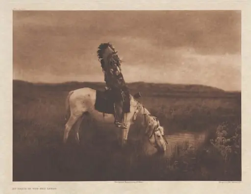 Portfolio III, Plate 80: An Oasis on the Bad Lands