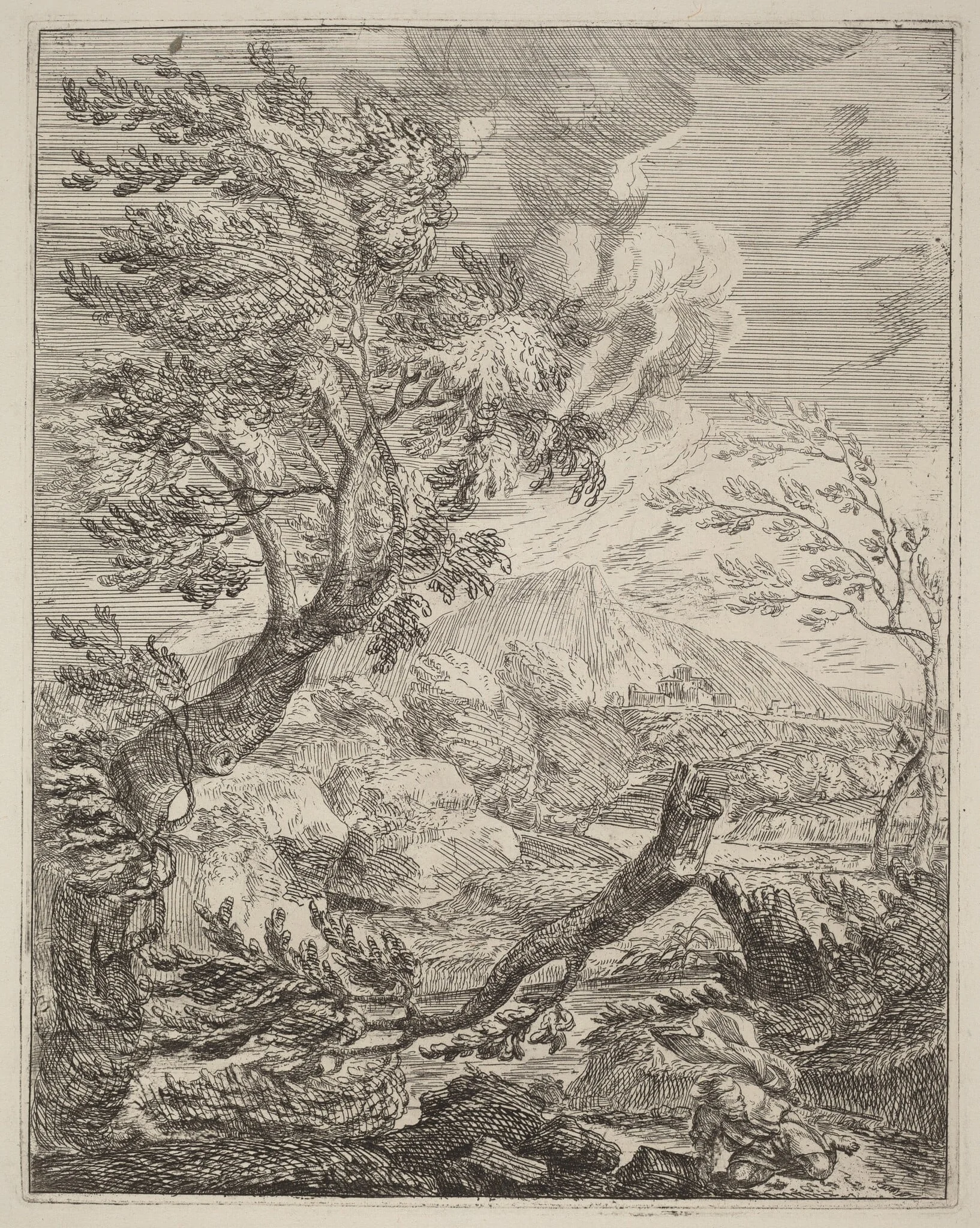 The Withered Tree