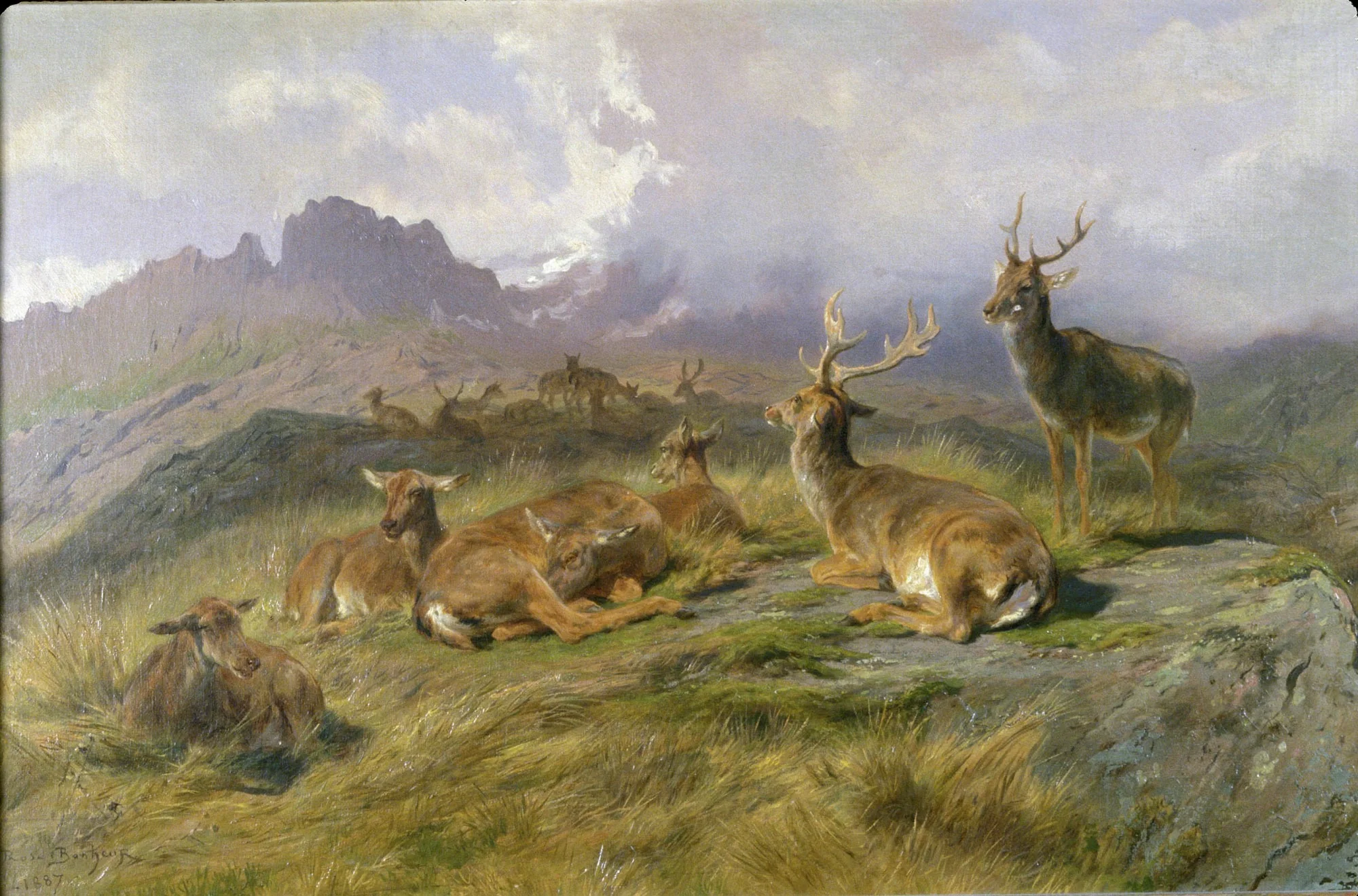 Landscape with Deer