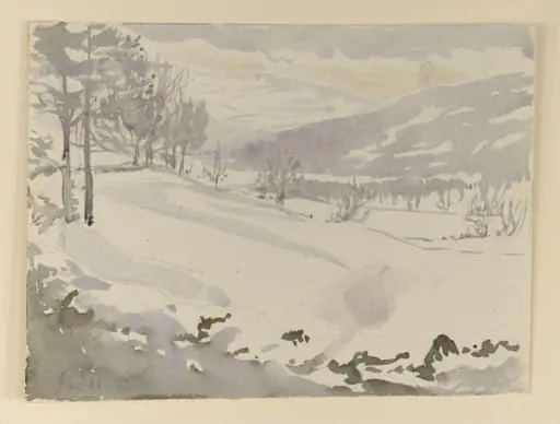 Mountains and fields in snow