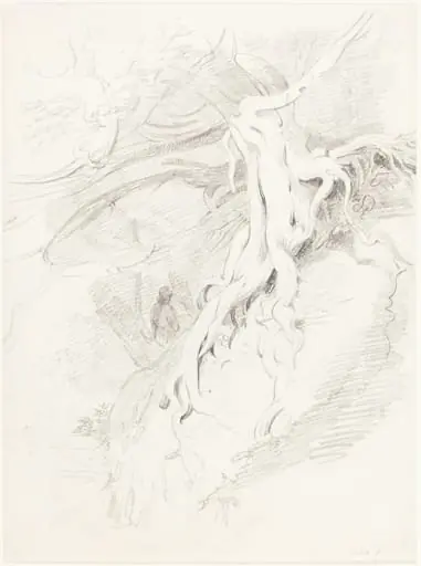 The Yew at Clifton