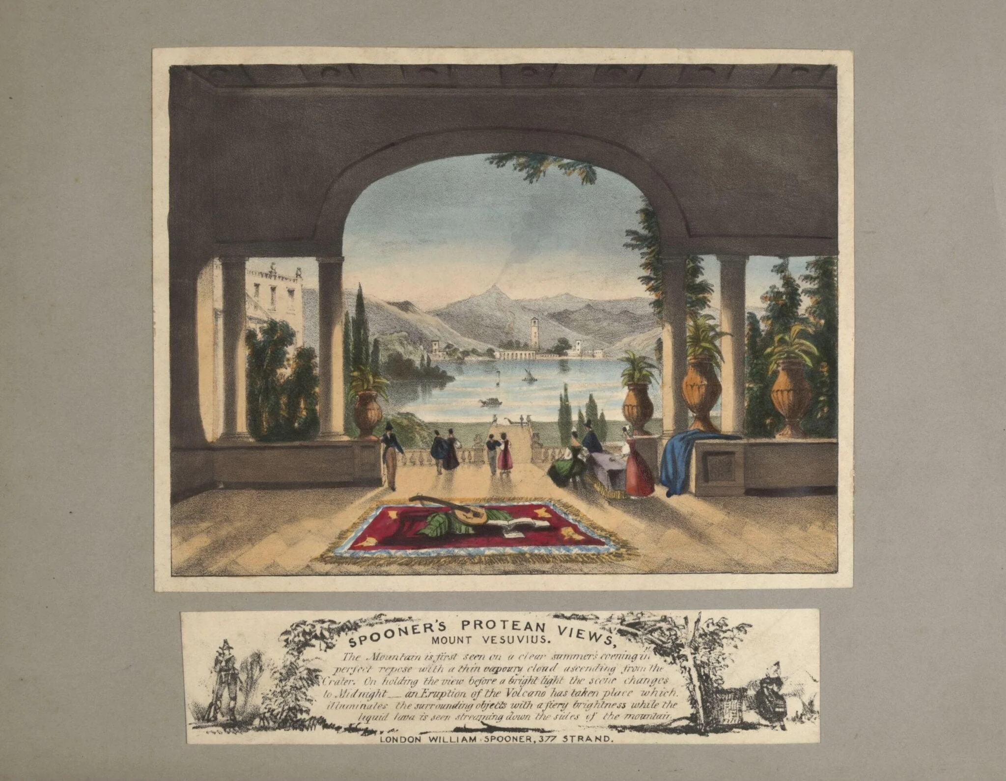 H Beard Print Collection