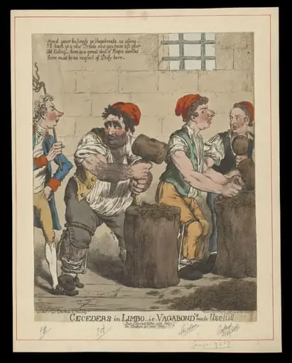 H Beard Print Collection
