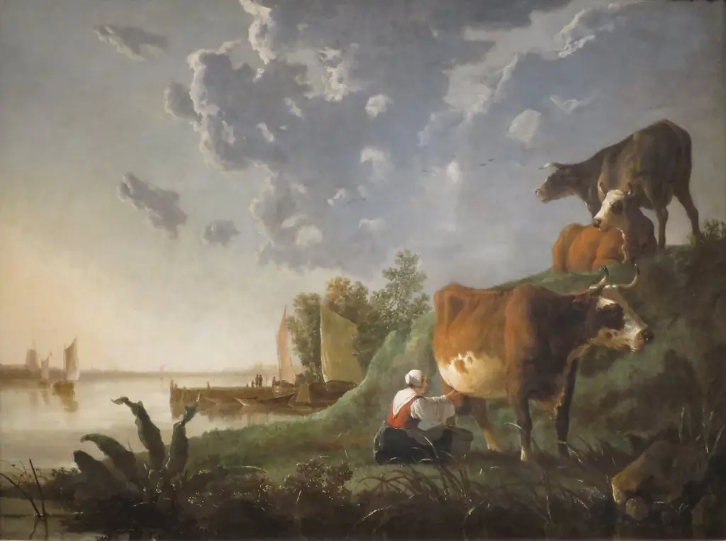 Evening in the Meadows