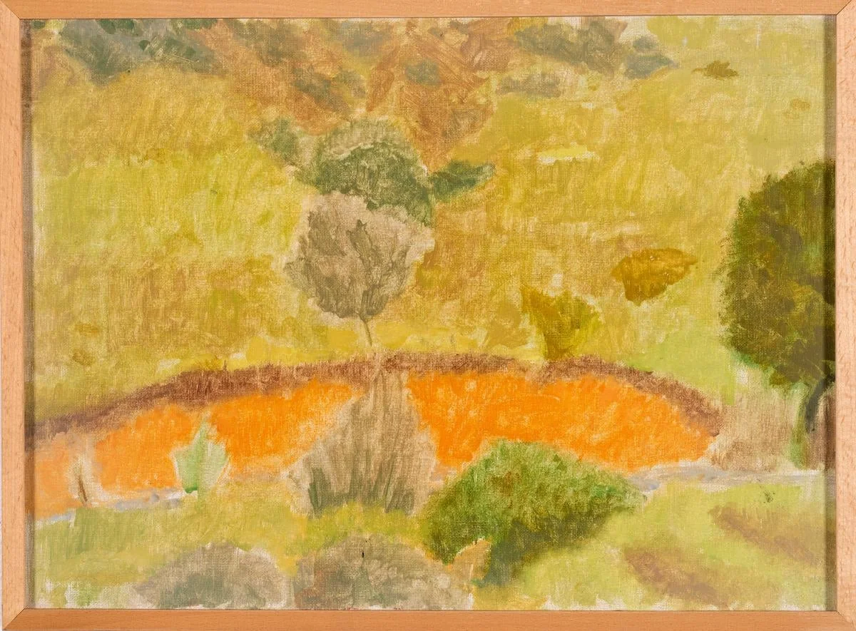 Outdoor study