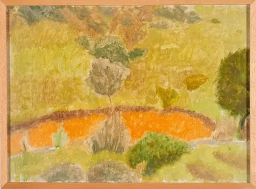 Outdoor study