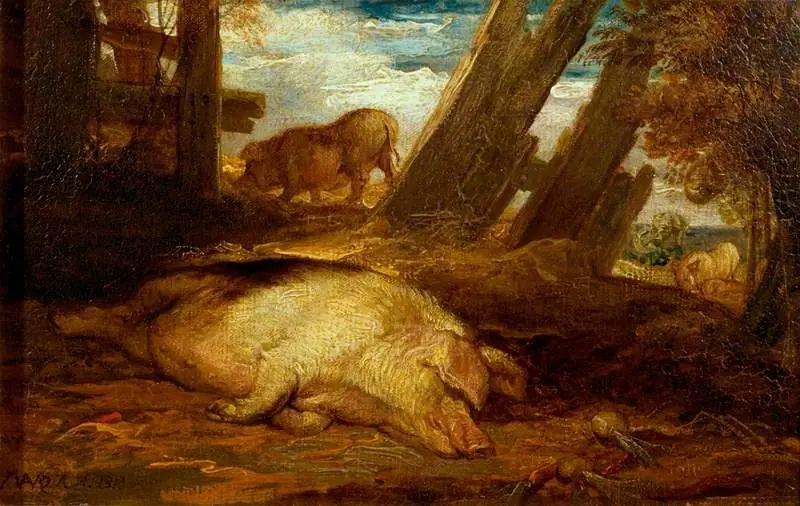Pigs