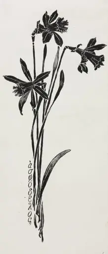 Daffodils