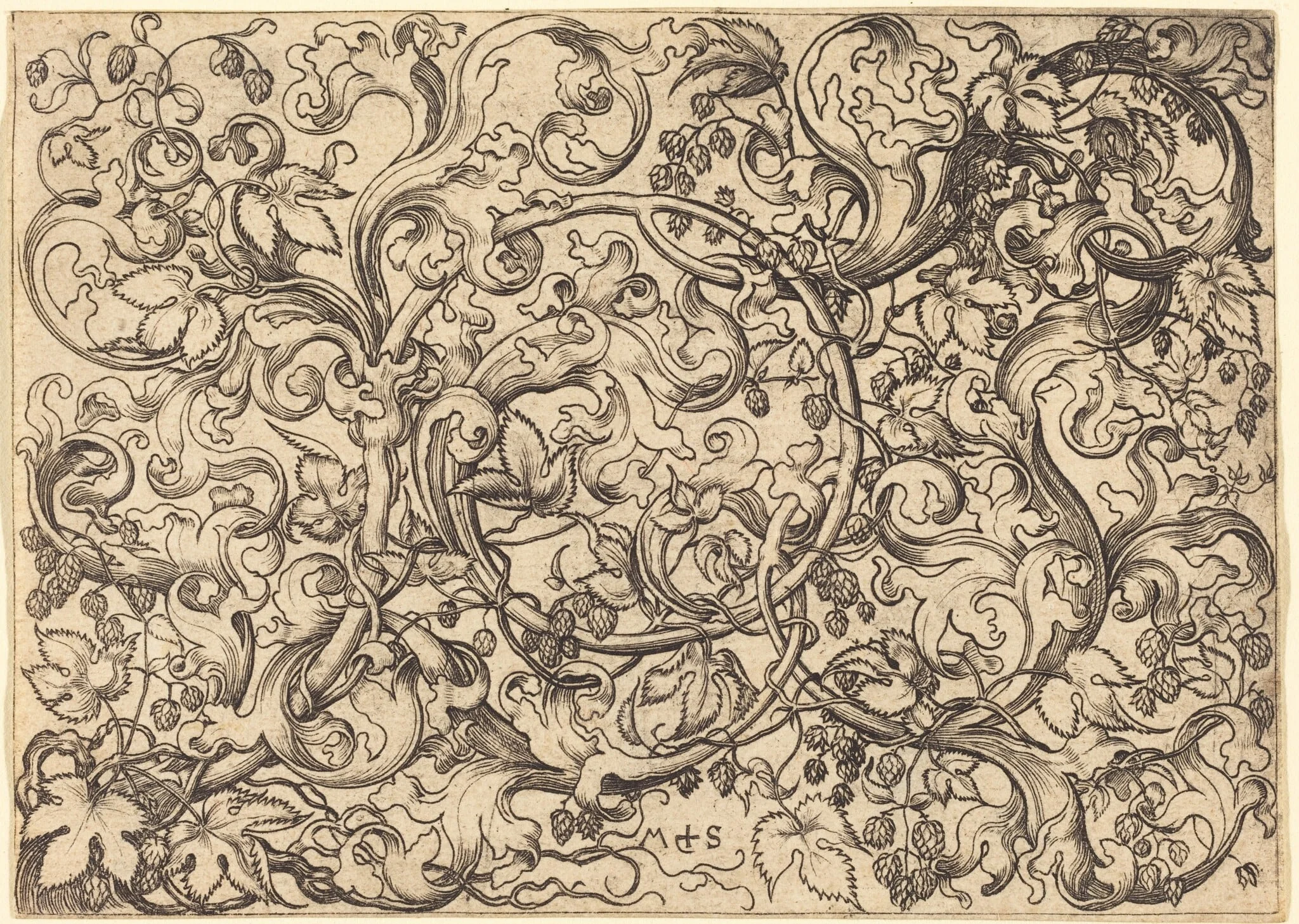 Ornament with Hop Vine, by Martin Schongauer, ink, 1485