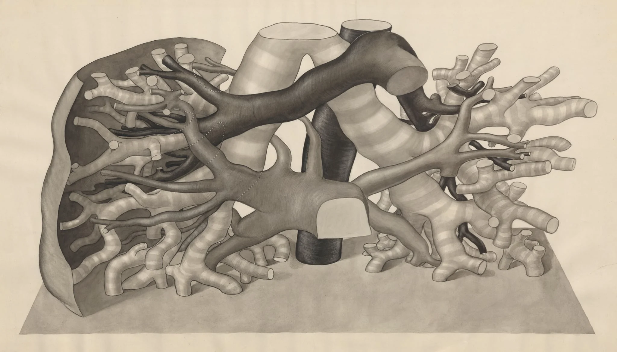 Lungs, by J Tinkelenberg, 1950