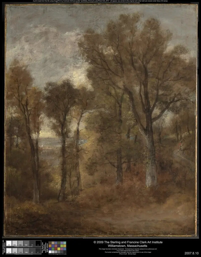 Woodland Scene Overlooking Dedham Vale