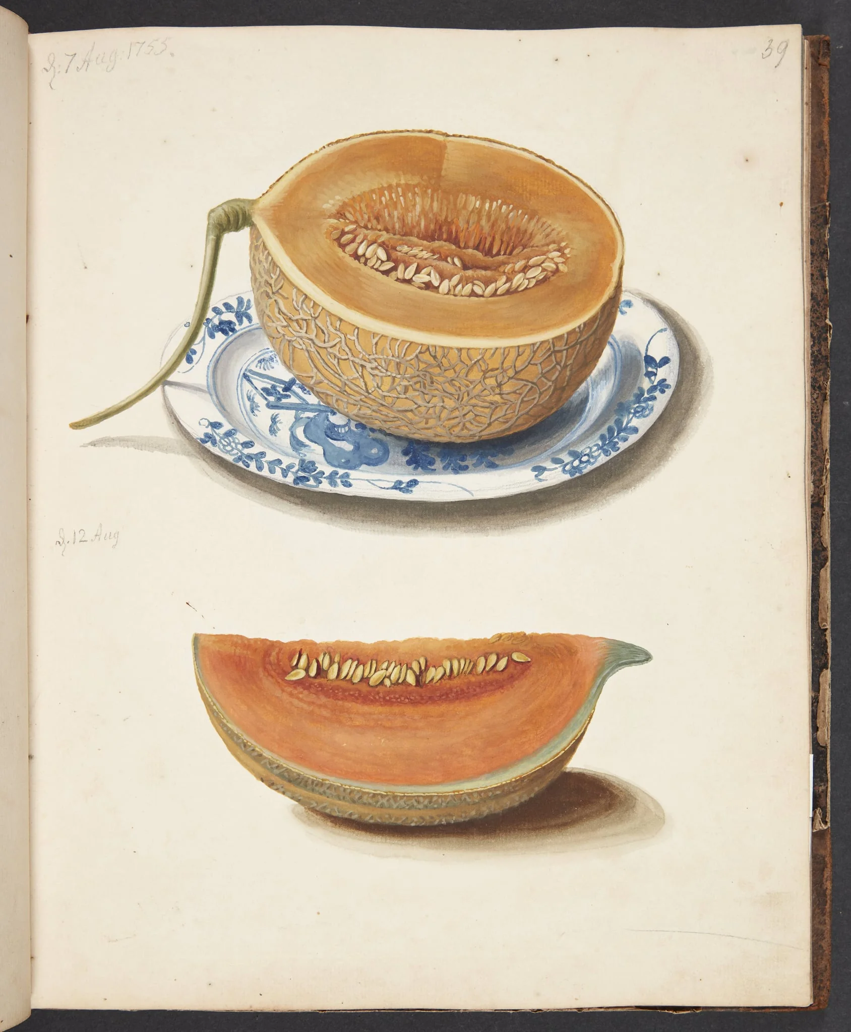 Studie af to netmeloner, halveret og kvadreret, by Unknown, unspecified, 1755