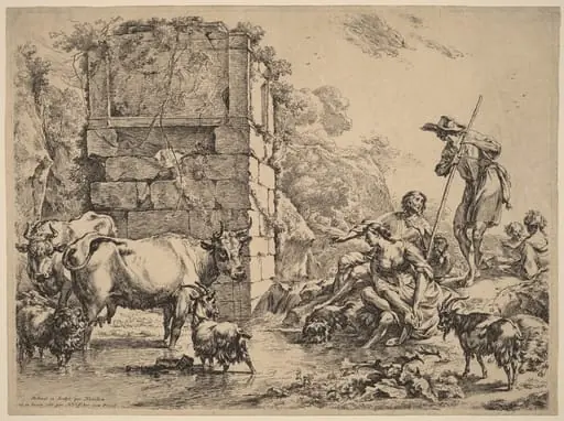 Cow Drinking