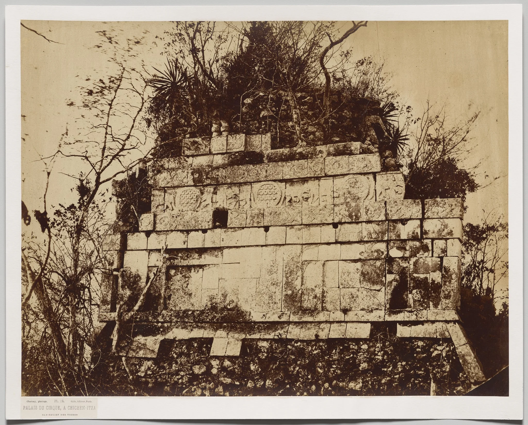 Palace of the Circus at Chicen-Itza (bas relief of tigers)