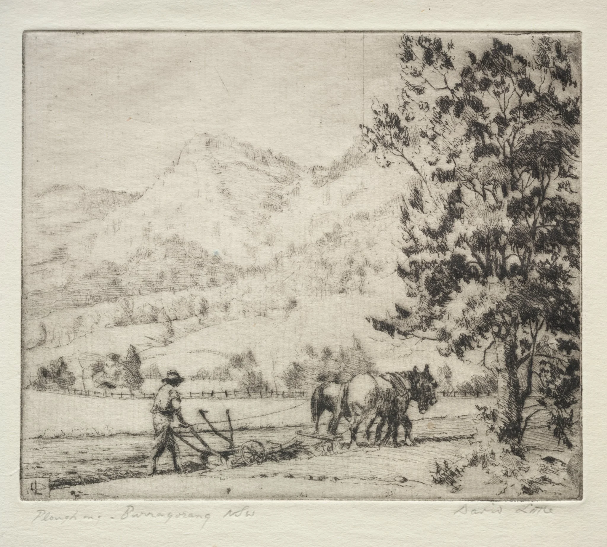 Ploughing - Burragorang, New South Wales, Australia, by David Little, 1932