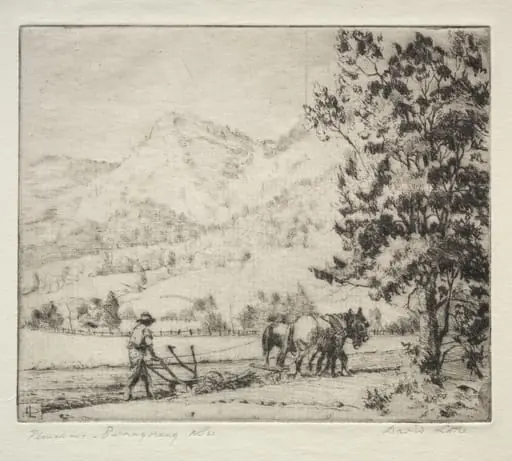 Ploughing - Burragorang, New South Wales, Australia
