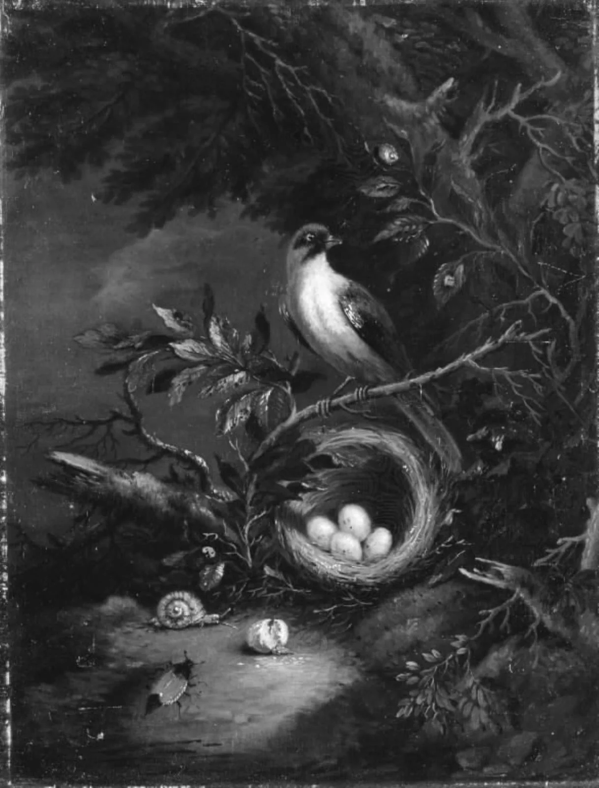 En fugl på sin rede i en skov, by Unknown, 1750