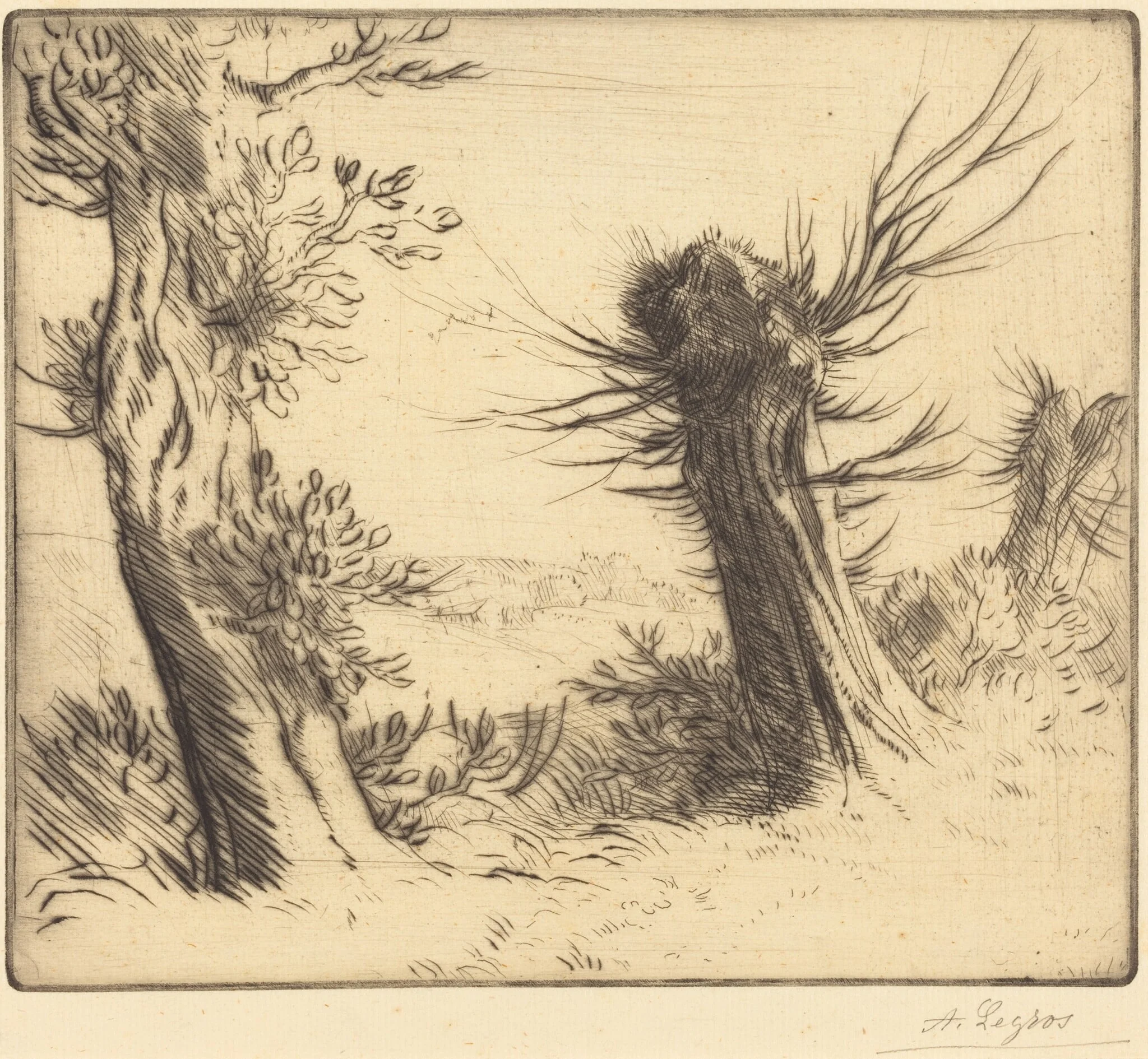 Willows (Les saules), by Alphonse Legros, ink, 1874