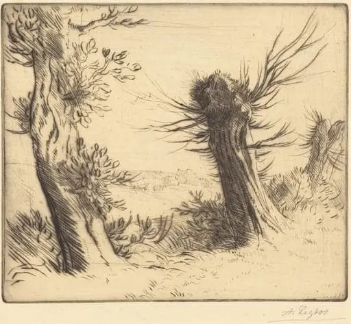 Willows (Les saules)