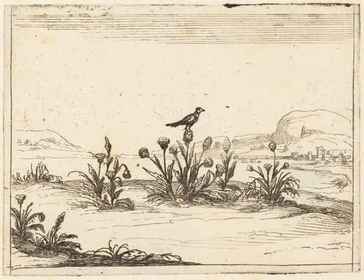Bird Perched in a Thistle
