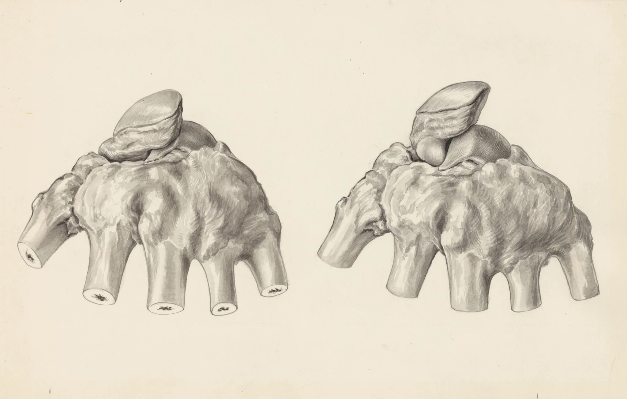Musculoskeletal system of the hand, by H.G, Wetselaar, 1970